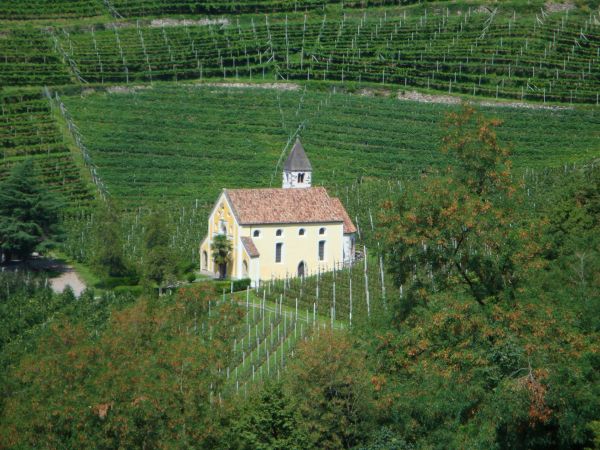 Top 5 raisons de visiter le clos du calvaire à châteauneuf-du-pape